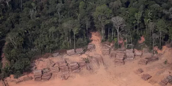 Vista aérea de madeira extraída ilegalmente da floresta amazôniza em Humaitá, no Estado do Amazonas (Ueslei Marcelino / REUTERS)