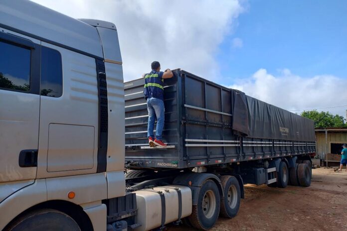Caminhão com 39 toneladas de sementes importadas como alpiste, painco, girassol, colza, niger e senha